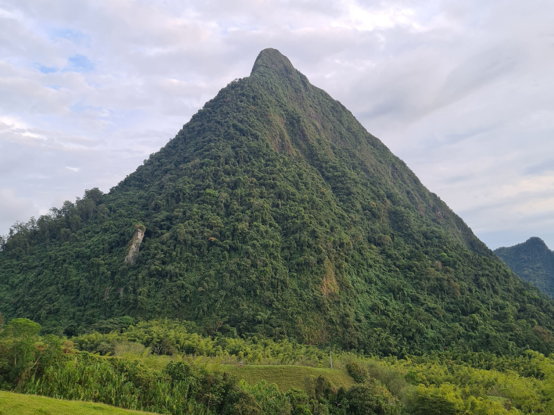 Carrusel Venecia (3)